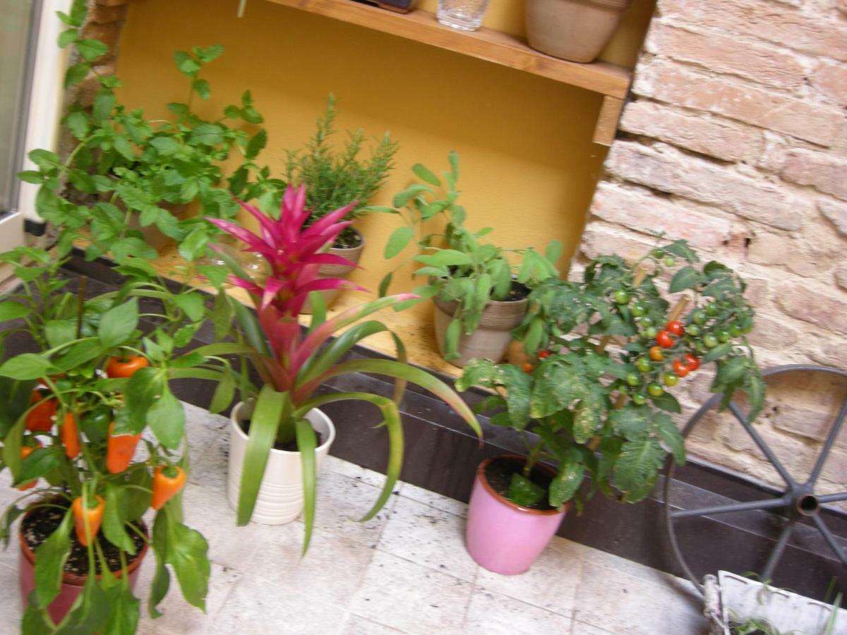 Terrazza Petroni Διαμέρισμα Μπολόνια Εξωτερικό φωτογραφία